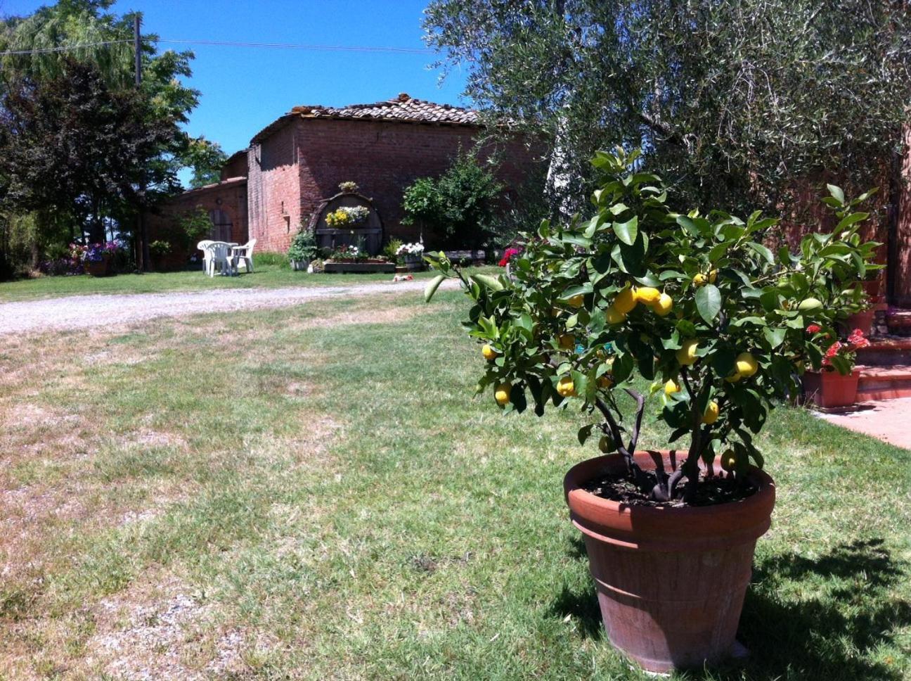 Agriturismo La Collina Siena Exterior photo